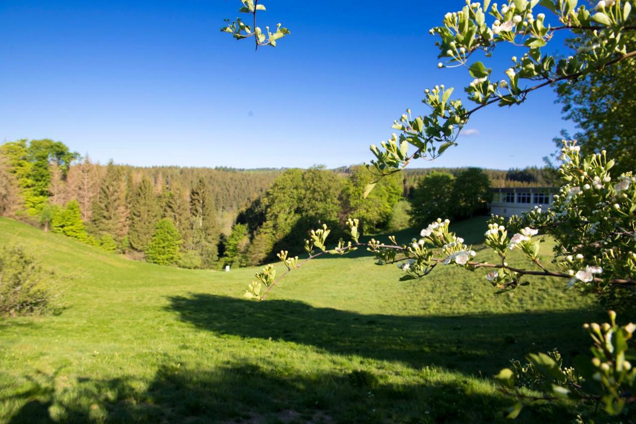 App 622 Panoramic Hohegeiss Mit Wlan Terrassenhaus Apartment Braunlage Exterior photo